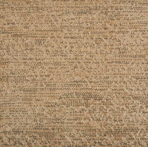 Desert by Stanton Carpet