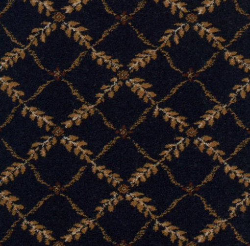 Midnight by Stanton Carpet
