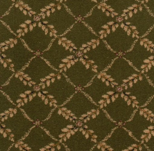 Olive by Stanton Carpet