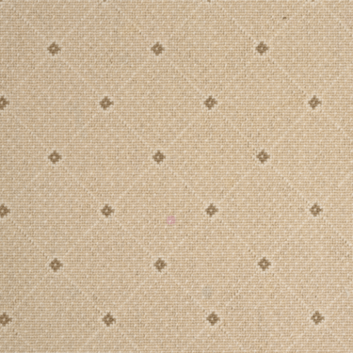 Shell by Stanton Carpet