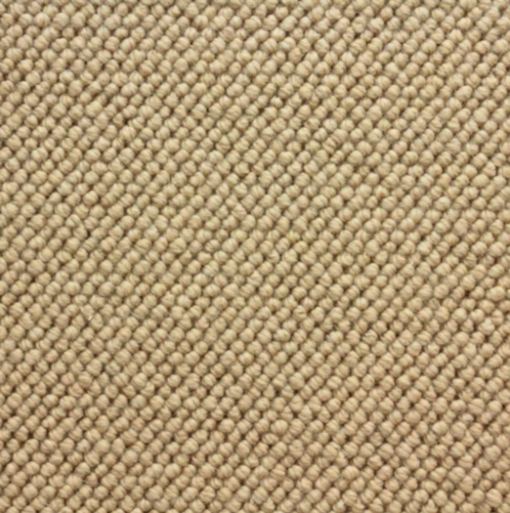 Sundance by Stanton Carpet