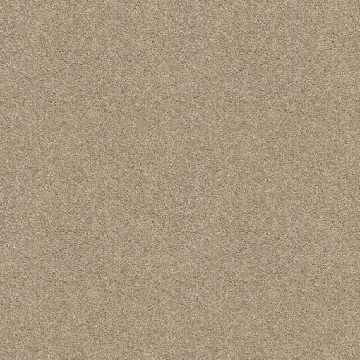 Shaw Floors - WELL PLAYED I 12' - Agate